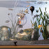 4-6-8" TankMatez Hydraulic Silent Release Bubble Fish Trap